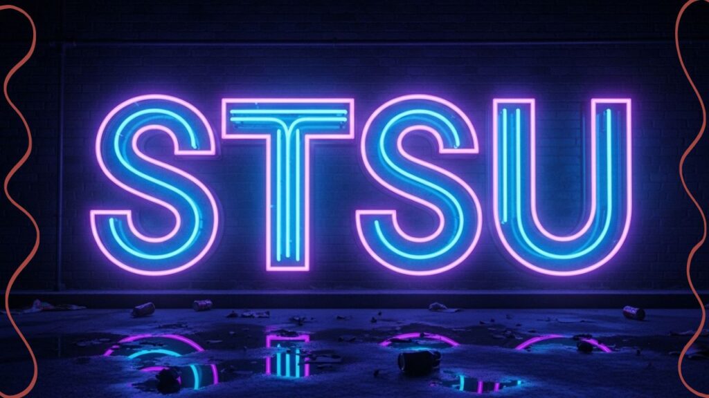 What Does STSU Mean in Text?