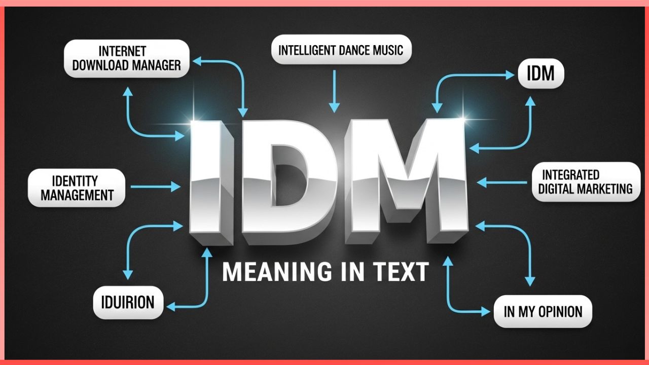 IDM Meaning in Text